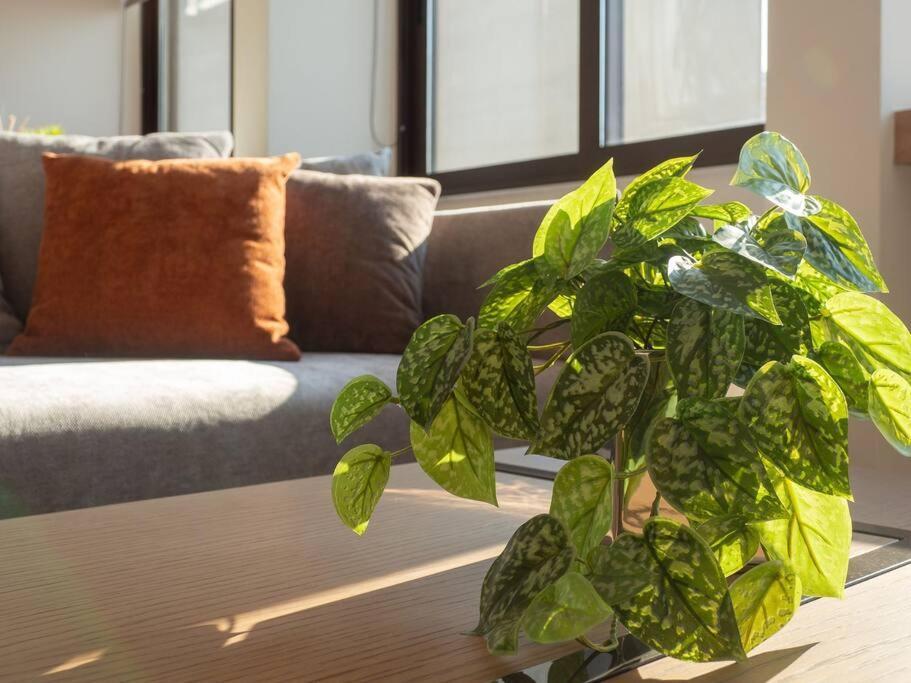 Apartamento Athinais Luxury 2